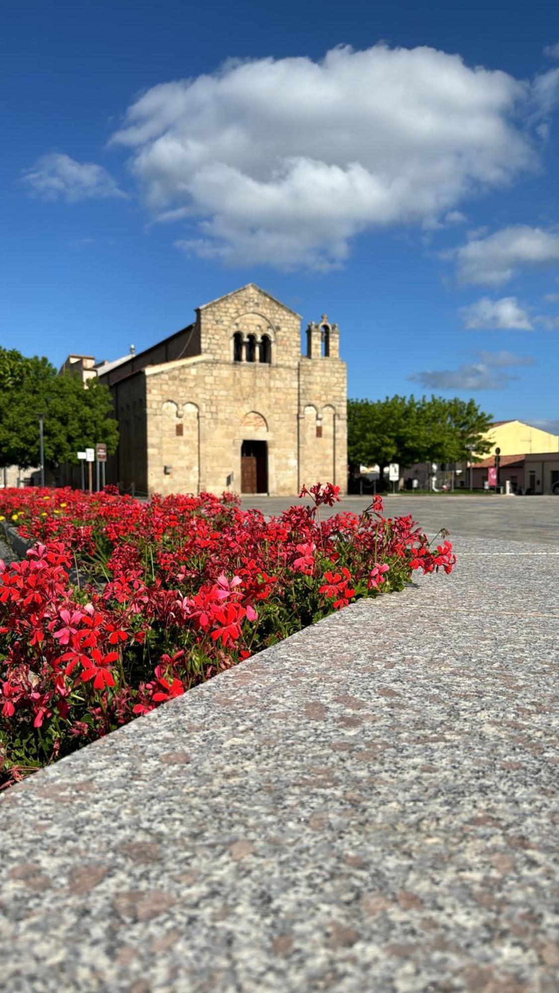 St.Joseph Bed and Breakfast Όλμπια Εξωτερικό φωτογραφία